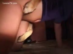 Amateur dog sex on the floor